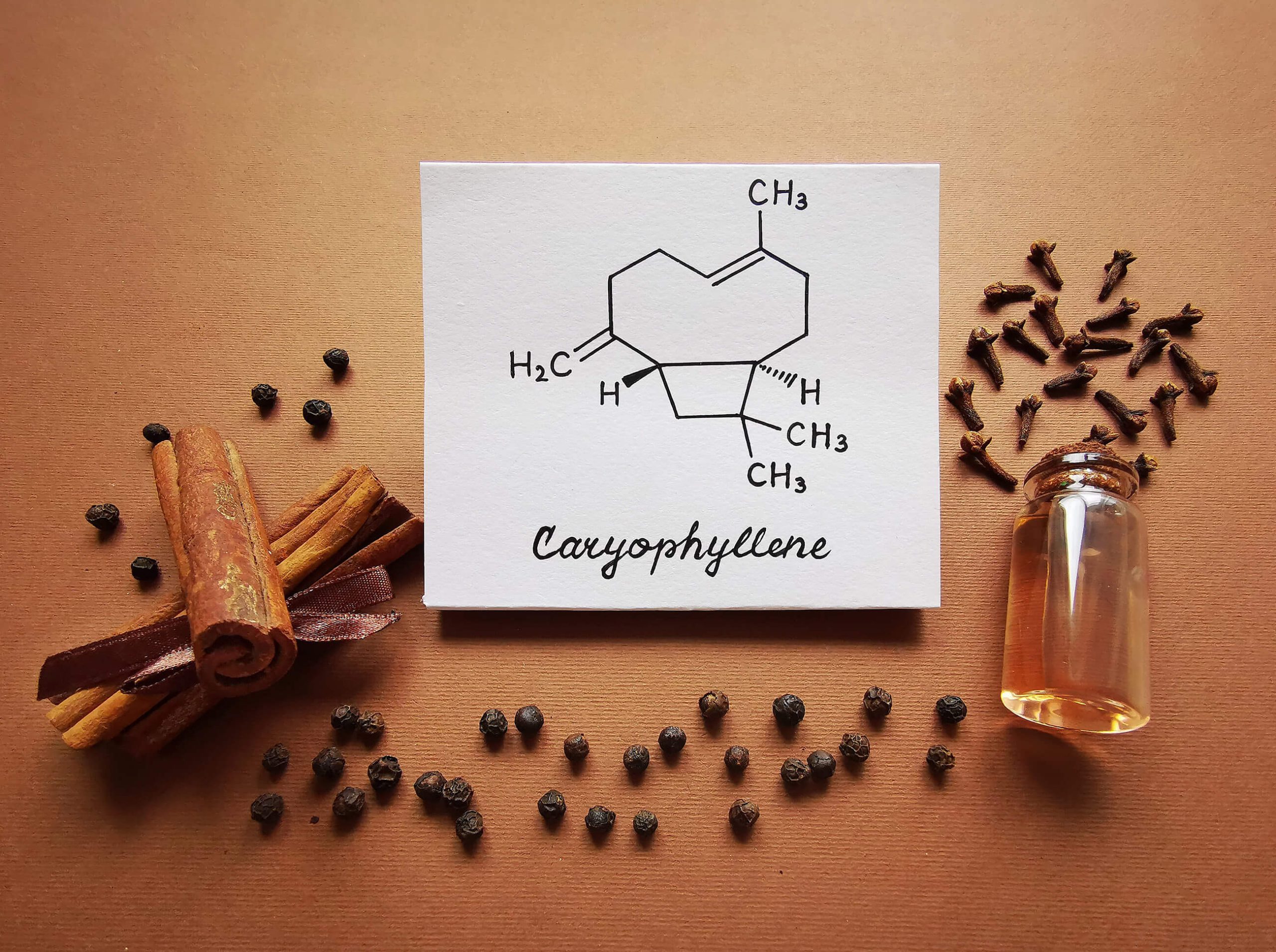 Caryophyllen Terpen Kärtchen mit der chemischen Formel von Caryophyllen umgeben von Duftstoffen für Cannabis