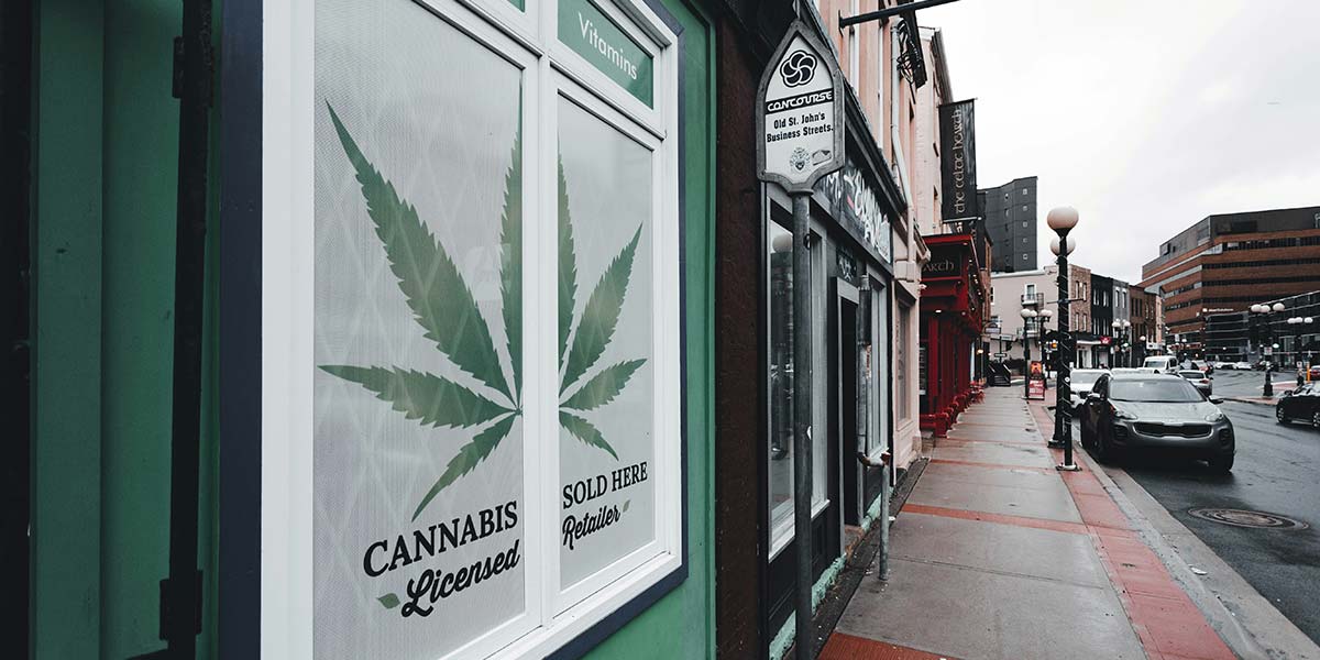 Cannabis Club Eingang von außen Fenster zeigt Cannabispflanze